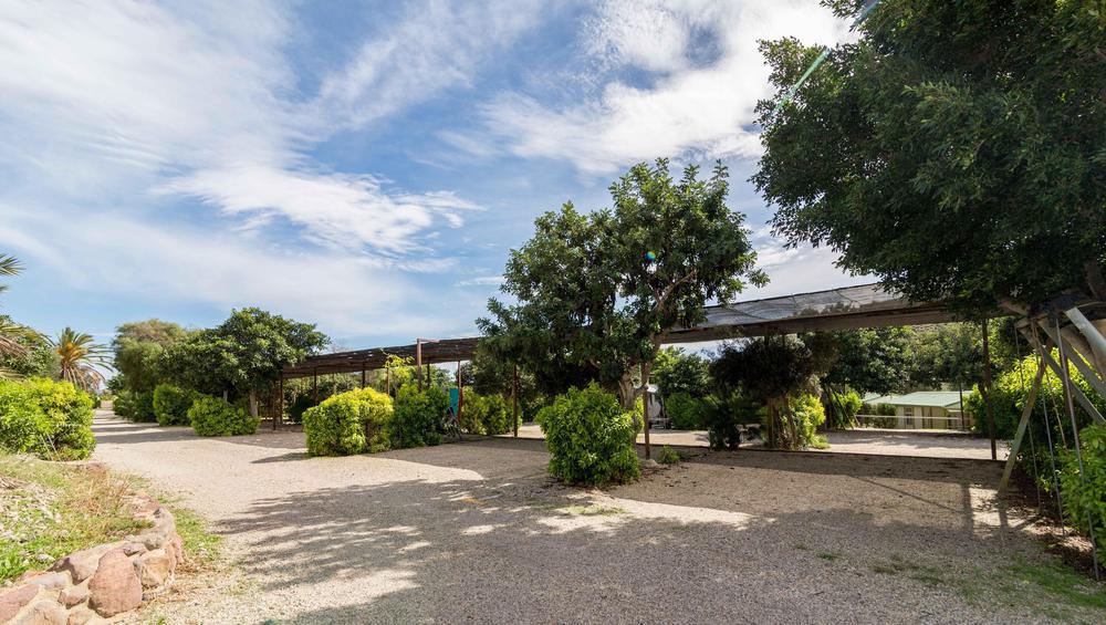 Complejo Turistico Los Escullos San Jose 部屋 写真